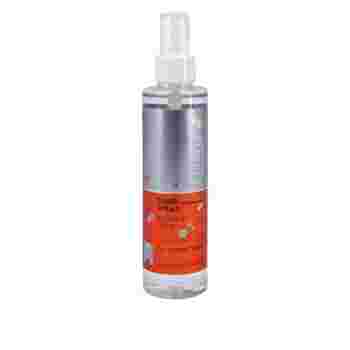 Спрей-блеск ELINOR Color Save Shine Spray для волос 100 мл 