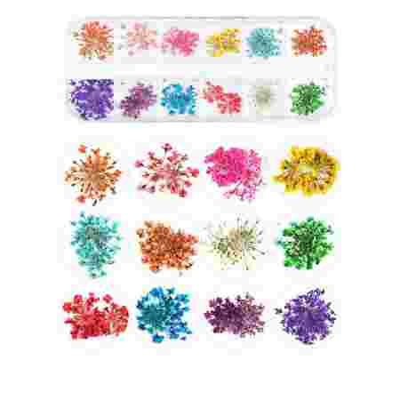 Набор разноцветных сухоцветов в контейнере Фурман (12 цветов)