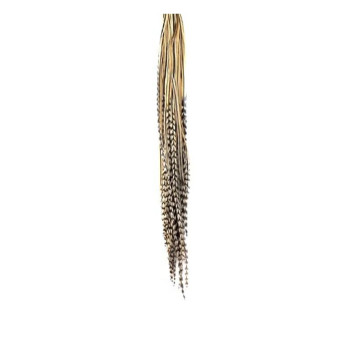 Перо для волос UrbanBird Standart + (26-29 см) (Dark Wheat)