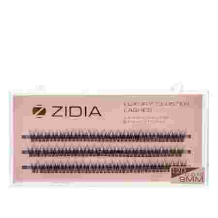 Ресницы ZIDIA Cluster 3 ленты 12D (01*C 9 мм)