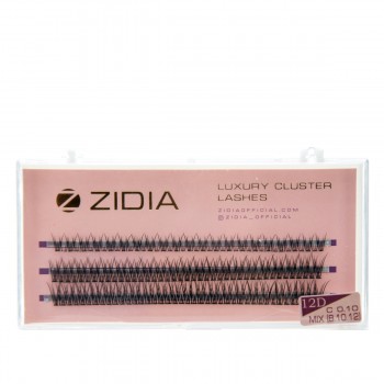 Ресницы ZIDIA Cluster 3 ленты 12D (01*C (8.10.12))