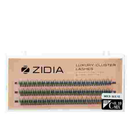 Ресницы ZIDIA Cluster 3 ленты 12D (01*C (8.9.10))